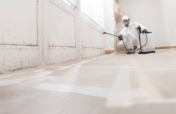 24/7 Emergency Mold Remediation experts in Spring Hope, NC