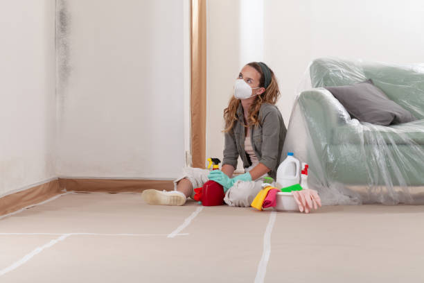 Reliable Mold Remediation contractor in Spring Hope, NC by 24 Hour Mold Removal