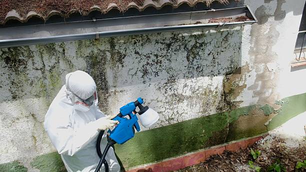 Top rated local Mold Remediation specialists in Spring Hope, NC